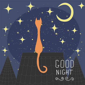 Cats on the roof of the night city. Hand drawn elements for your designs 