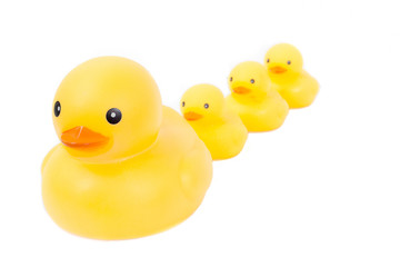 Group yellow rubber duck cute on white background.