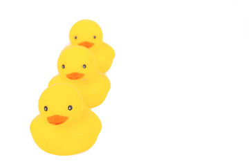 Group yellow rubber duck cute on white background.