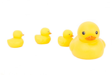 Group yellow rubber duck cute on white background.