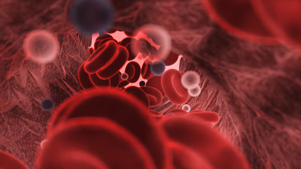 Oxygen in red blood cells in the blood and antibacterial, 3d rendering-1