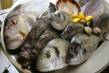 Presentation of fresh fish in restaurant