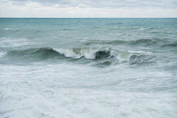 View of storm seascape. Seagulls over the waves in the sea fishing. Twisting wave.