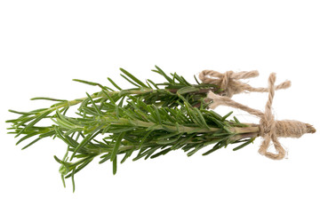 fresh rosemary bunch isolated on white background