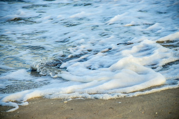 Foam bubbles of the surf