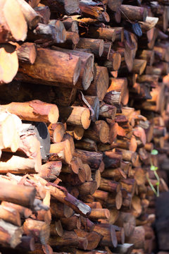Firewood stacked and prepared for winter Pile of wood logs