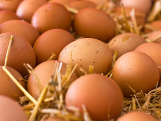 Fresh brown rustic natural chicken eggs on straw