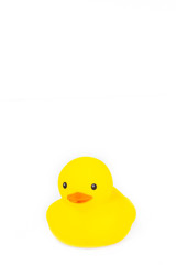 Yellow rubber duck cute on white background.