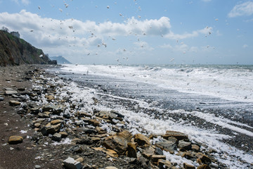 View of beautiful seascape with sea, pebble beach and mountains on a clear summer day.