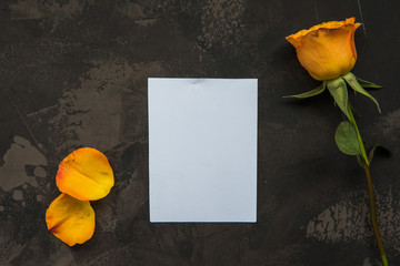 Yellow rose and empty card on a dark background
