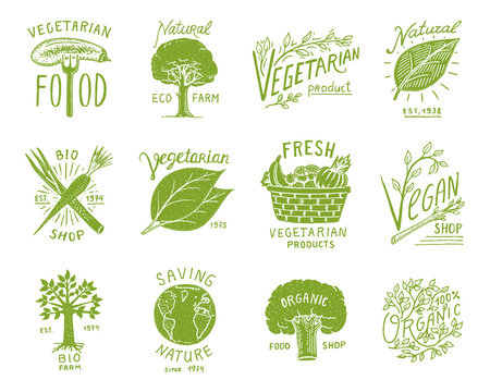 Healthy Organic food logos set or labels and elements for Vegetarian and Farm green natural vegetables products, vector illustration. badges healthy life. engraved hand drawn in old sketch.