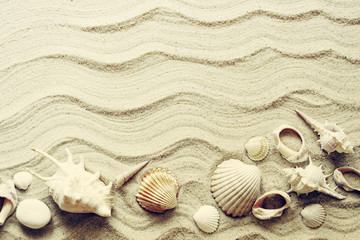 Fototapeta na wymiar Seashells on sand, toned. Sea summer vacation background with space for the text