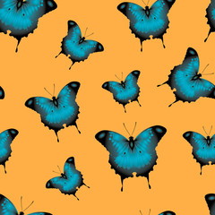 beautiful blue butterflies on an orange background
