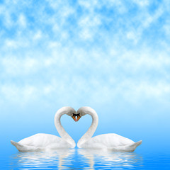 two white swans against the sky