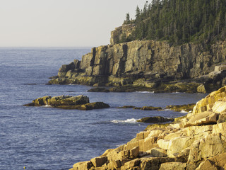 Fototapeta premium Coastal Vista - Otter Point, Acadia National Park