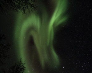 Northern lights (aurora borealis) spotted right from bellow
