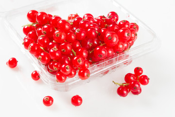 Fresh Organic Red Currants