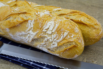 baguettes de pain