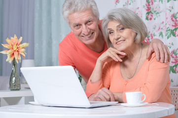beautiful senior couple using laptop 