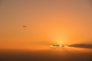 Paraglide shilouette at sunset