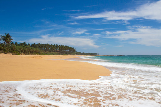 Beautiful beach. View of nice tropical beach with palms around. Holiday and vacation concept. Tropical beach.