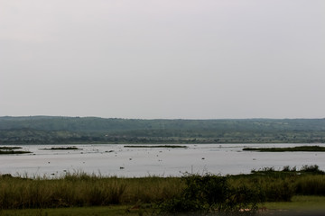 Unendliche Weiten der Wildnis von Afrika Uganda