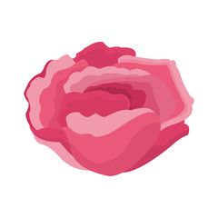 Beautiful flower symbol icon vector illustration graphic design