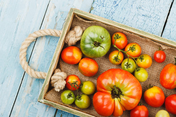 Set of ripe tomatoes in the wooden tray, wooden background