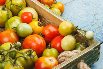 Set of ripe tomatoes in the wooden tray, wooden background