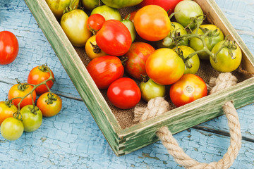 Set of ripe tomatoes in the wooden tray, wooden background
