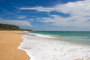 Obraz premium Beautiful beach. View of nice tropical beach with palms around. Holiday and vacation concept. Tropical beach.