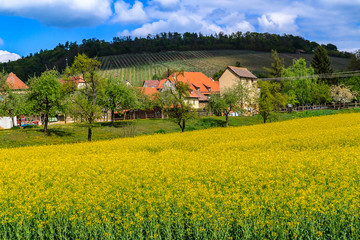 kleine Ortschaft im Stromberg bei Maulbronn