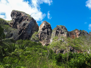 Fototapeta na wymiar Rocks among the jungle