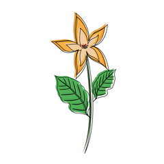 Beautiful flower symbol icon vector illustration graphic design