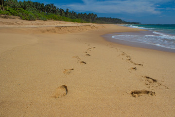 beach, wave and footsteps