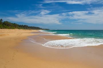 Beautiful beach. View of nice tropical beach with palms around. Holiday and vacation concept. Tropical beach.