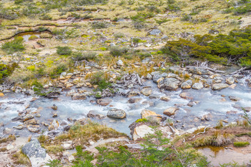 Laguna Esmeralda trail with stream, vegetation and rocks
