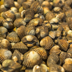 Seafood on the counter of the Thai market.