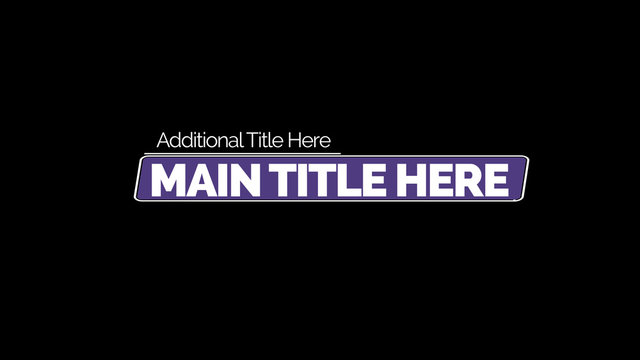 Corporate Title 12