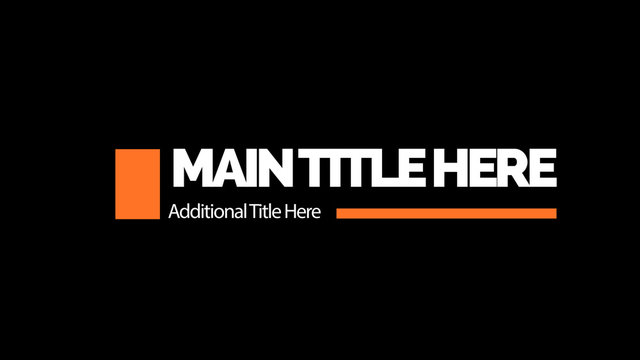 Corporate Title 13