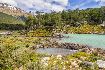 Laguna Esmeralda trail with forest, mountains and beaver dams