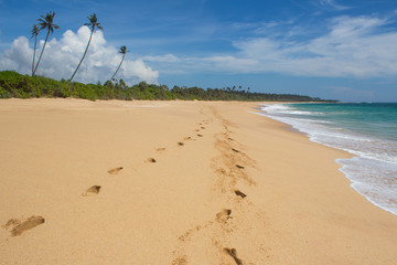 Beautiful beach. View of nice tropical beach with palms around. Holiday and vacation concept. Tropical beach.