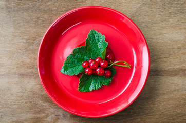 Fresh ripe organic red currant in plate.