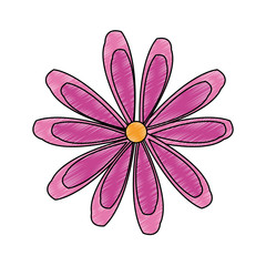 Beautiful flower symbol icon vector illustration graphic design