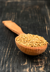 Seeds fenugreek in spoon