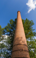 Chimenea Industrial Antigua entre arboleda