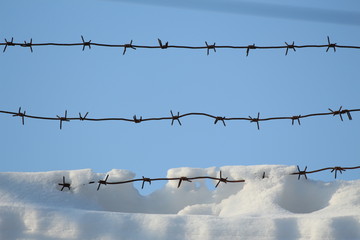barbed wire in the snow