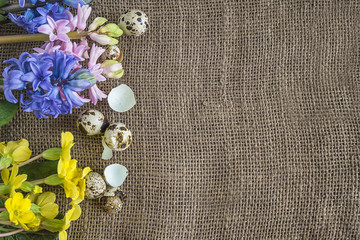 easter greeting card/easter background with frame of spring flowers and quail eggs on burlap