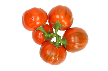Bunch of red eggplants, Solanum aethiopicum (Tuerkish Orange) isolated on white