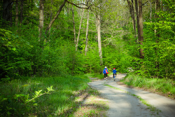Forest dirt road in the green forest Green trees in the spring Forest path in the summer Clay road through the forest with spring maple trees, lit by the rays of the sun Two figures on the forest road